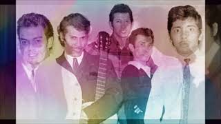 Tielman Brothers - What I'd Say 1965