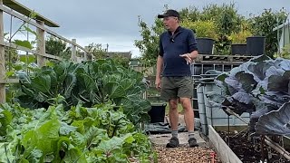 The very good, bad and very bad | allotment tour in July