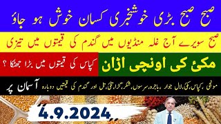 New Gundam Munji Till Sarso Makkhi Dhan Rates Today/ صبح سویرے گندم کی قیمتوں میں تیزی