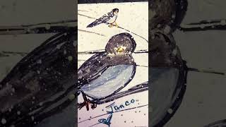 Junco’s in the Snow! #art #shorts #birds