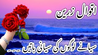 Siyanay Logo ki Baatein | Aqwal e Zareen in urdu | Aqwal e Zareen