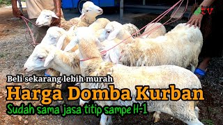 Harga Domba Gak repot angon