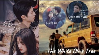 Chen Zhe Yuan x Liang Jie in "The White Olive Tree" | Upcoming Chinese Drama this 2024