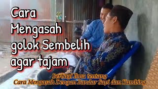 Cara mengasah golok agar tajam