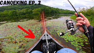 On The Hunt For BACKWOODS BASS In My CANOE (We Hiked Over a MILE)