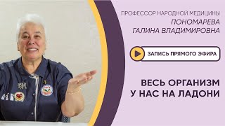 ⚡️ЭФИР: ВЕСЬ ОРГАНИЗМ У НАС НА ЛАДОНИ⚡️