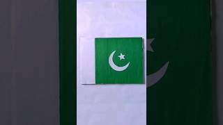 How To Make Pakistan Flag From Paper | 14 August 2023 #shorts #ytshorts #art #craft