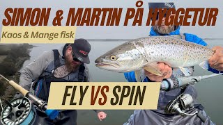 Simon & Martin på hyggetur -  Kaos & mange fisk