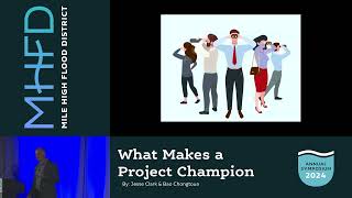 What Makes a Project Champion?