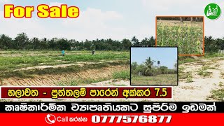 7.5 acres of plain land for sale in Chilaw - Contact: 0777576877 - LAK ADS