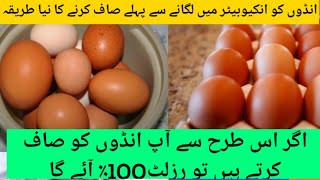 murgi ke ande ko kaise saaf karte hain| how to egg cleanse before hatching|#doctorbirsfarm