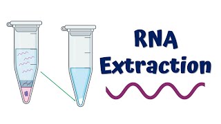 RNA Extraction || Principle and Process