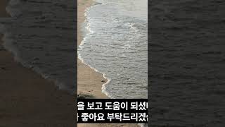 안가보면 후회할껄? 태안 리조트 추천 TOP 3