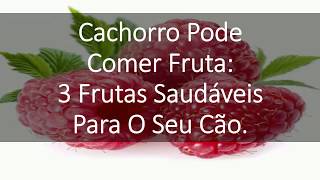 Cachorro Pode Comer Fruta: 3 Frutas Saudáveis Para O Seu Cão