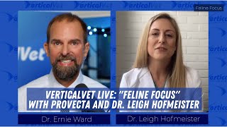 VerticalVet Feline Focus with Provecta and Dr. Leigh Hofmeister