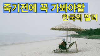 인생 여행지 추천 여기는 꼭 가보세요 l 죽기전에 꼭 가봐야할 한국의 발리 소도시 여행  l 신안 증도 우전해변 #9