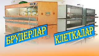 Брудерлармен клеткалар