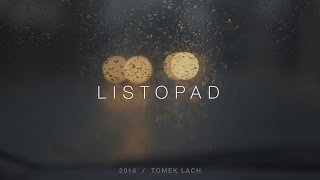 LISTOPAD / Jeden Rok #1