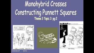 Monohybrid Crosses and Squares (Theme 3 Topic 3 Topic 2)