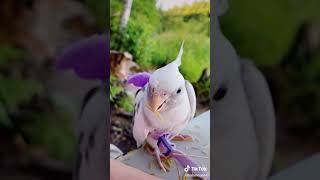 what is eating by this bird 🐦🐦