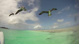 Palmyra Atoll Kayaking (2012)