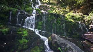 Relaxing Waterfall ambient sounds | 1 HOUR |