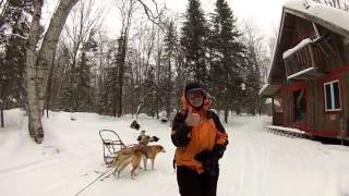 Chien de Traineau 02 2016 - Mont-Saint-Michel (Quebec)