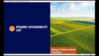 Dynamic Sustainability: Implications of the Net-Zero Carbon Transition