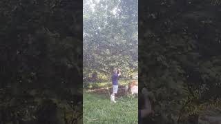 Trimming Trees Goat Edtion (Life Hack)