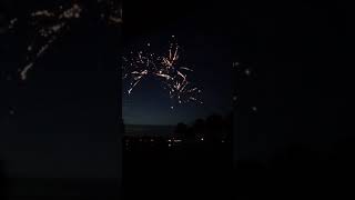 Fireworks in Florida