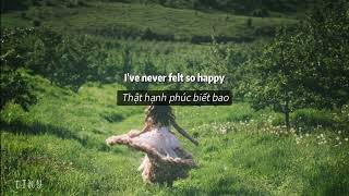 [ Vietsub + Lyrics ] Dandelions - Ruth B ✿ Happy Hardcore