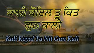 Kali Koyal Tu Nit Gun Kali @waheguruji93 #kali #shabad #darbarsahib #koyal #gurbanishabad