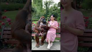 #funny #duet #thelatestfromaroundtheworld #seetheusaon50aday #baby #cute #monkey #wouldyoulookatthat