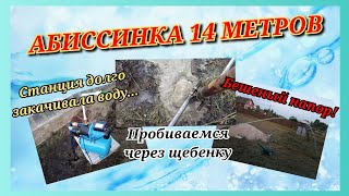 БЕШЕНАЯ АБИССИНКА 14 МЕТРОВ/ДЕБЕТ БОЛЕЕ 2 КУБОВ/ПРОШЕЛ СЛОЙ ЩЕБЕНКИ