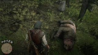 Red Dead Redemption 2 - One of the three bears