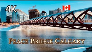 Walk across the Peace Bridge in Calgary #walking #walk #calgary #alberta #canada #peace #peacebridge