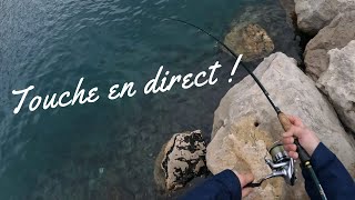 Un lancer un poisson - Pêche au leurre méditerranée