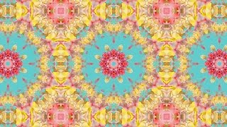 Kaleidoscope Background Loop - Vintage Floral Pattern