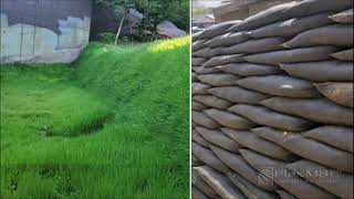 Flex MSE Vegetated Wall System - Project Transformation