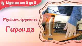 Необычный музыкальный инструмент гиронда ghironda. Музыкальная среда с Maria Sharo