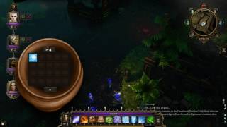 Divinity Original Sin EE: Trial of the Immaculates