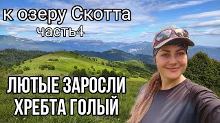 Поход на озеро Скотта Нереально заросшие тропы и олени