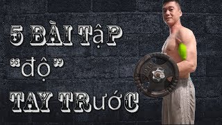 Top 5 bài tập tay trước giúp bắp tay to khỏe và phát triển dành cho người mới tập Gym