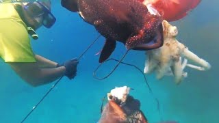 SPEARFISHING | SABANG ISLAND