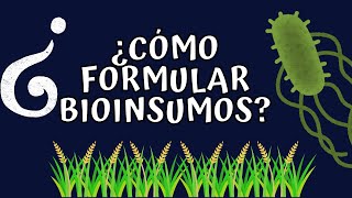 ¿Cómo se formulan bioinsumos? Bioinsumos Ecuador