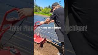 Planting Potatoes Time in Michigan #homestead #farmliving #potato #cooking #selfsufficiency #garden