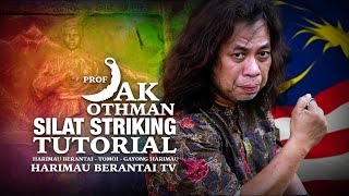 Prof Jak Silat Striking Tutorials, Silat Harimau Berantai - Tomoi - Gayong Harimau