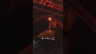 Karbala janay ki khwaish hai magar hon me ghareeb #karbala #shiastatus #viralvideo #trending #shorts