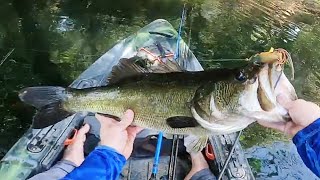 Six Pound Bass Breaks Through the Cheese to eat the Pad Crasher ( Lady Bird Lake )