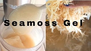 How To Make Seamoss| Irish Moss Gel From Scratch | Keisha J Lewis